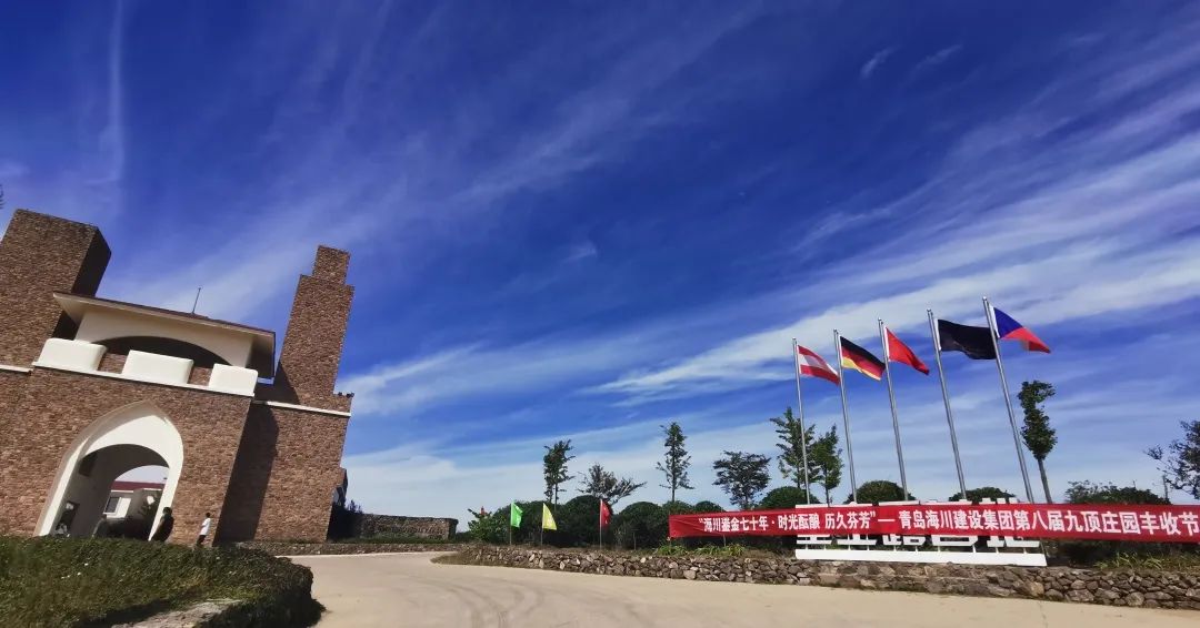 1666583682118767p497.jpg 3.jpg