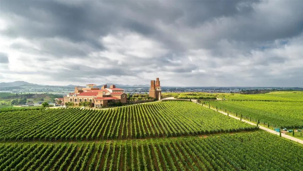 1698194014135550hp9E.jpg 2.jpg